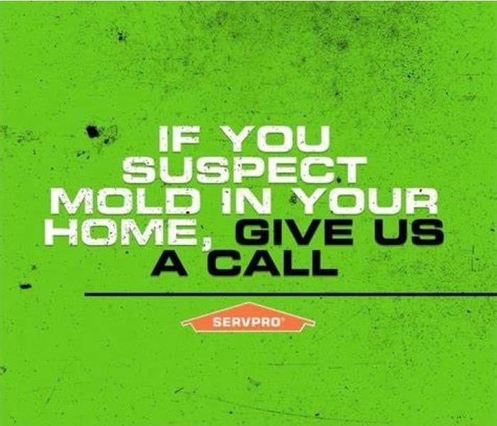 If you suspect mold in your home, give us a call.
