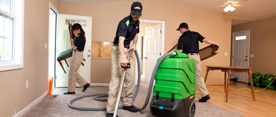 Sunland, CA cleaning services